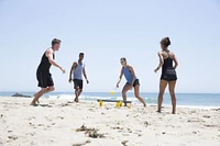 Spikeball Standard Set