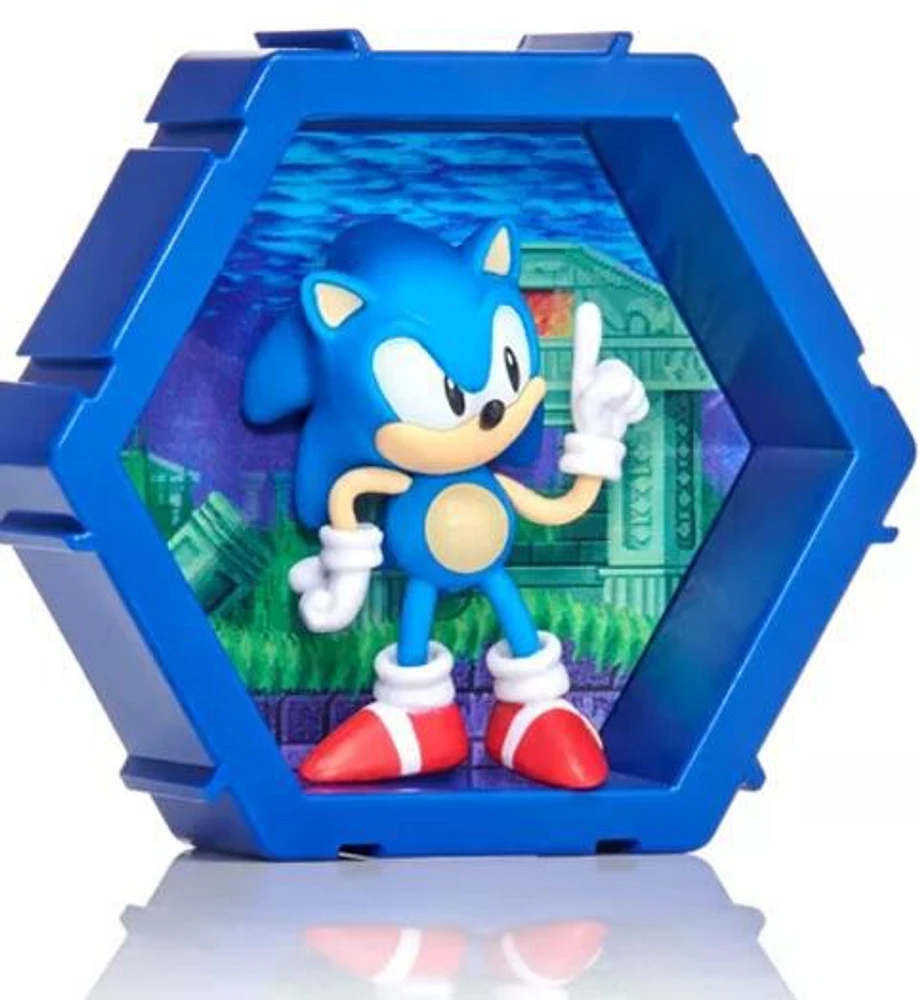 Pods 4D Sonic the Hedgehob- Classic Sonic