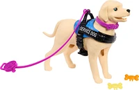 Coffret de poupée Barbie et chien d'assistance avec fauteuil roulant, rampe et accessoires, poupée