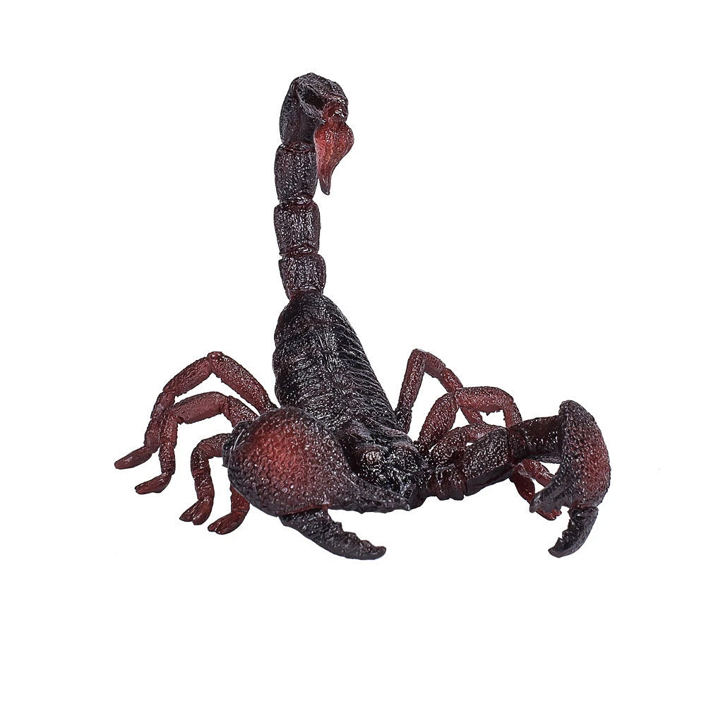 ALEX - Emperor Scorpion - Large