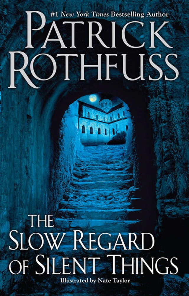 The Slow Regard of Silent Things - English Edition