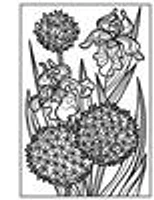 Usborne Minis: Magic Painting Flowers - Édition anglaise