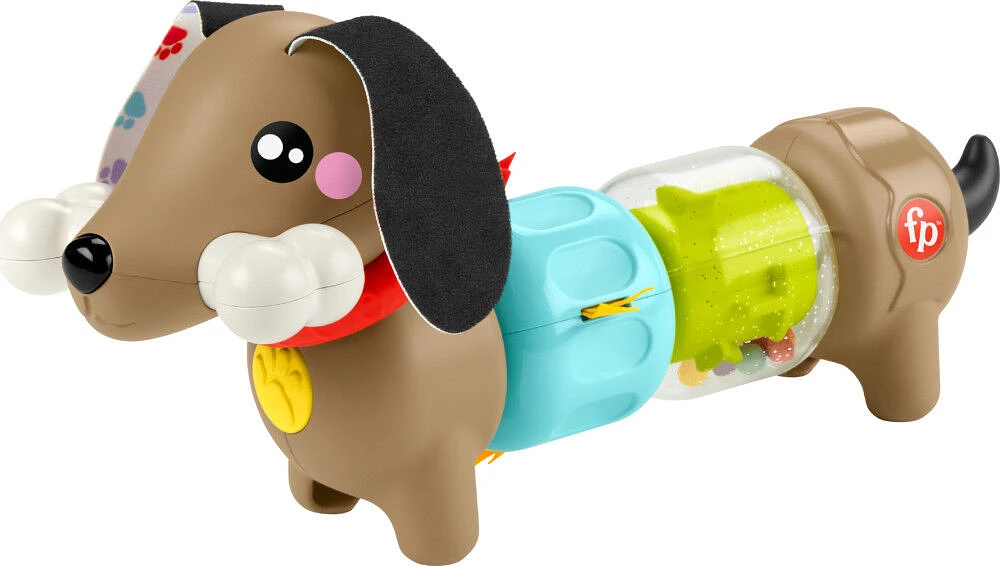 Fisher-Price-Chiot Sensoriel à Faire Cliquer et Tourner