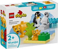 LEGO DUPLO Familles d'animaux sauvages : Pingouins et lions Jouet d'imagination pour un jeu créatif 10442