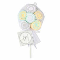 Tendertyme 12 Pack Lollipop Washcloth: Mint/ Yellow