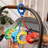 Baby Einstein Touch of Nature Sensory Toy