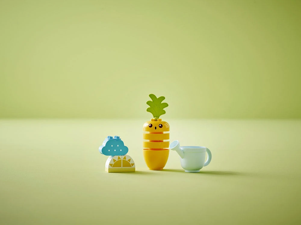 LEGO DUPLO Ma première culture de la carotte 10981 Ensemble de jeu de construction (11 pièces)