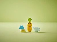 LEGO DUPLO Ma première culture de la carotte 10981 Ensemble de jeu de construction (11 pièces)