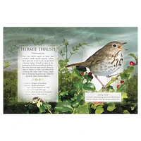 The Little Book of Woodland Bird Songs  - Édition anglaise