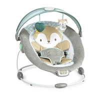 Siège et sauteur InLighten Baby Bouncer - Kitt