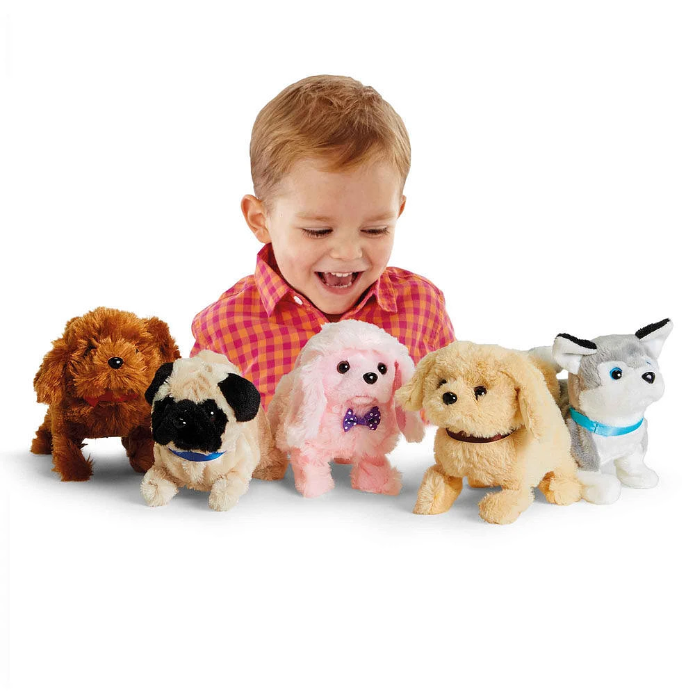 Pitter Patter Pets Playful Puppy Pal - R Exclusive - Assortment May Vary - One per purchase