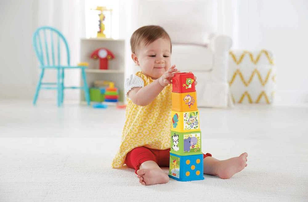 Fisher-Price Stack and Explore Blocks