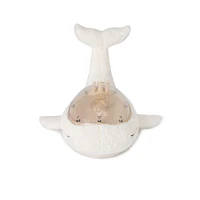 Cloud b Tranquil Whale Bundle w/Baby Plush Rattle Night Light w/ Under Water Effect and Music