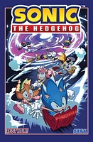 Sonic the Hedgehog, Vol. 10: Test Run! - English Edition