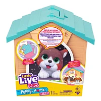Little Live Pets My Puppy's Home Minis - Teal & Orange Home