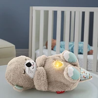 Fisher-Price Soothe 'n Snuggle Otter