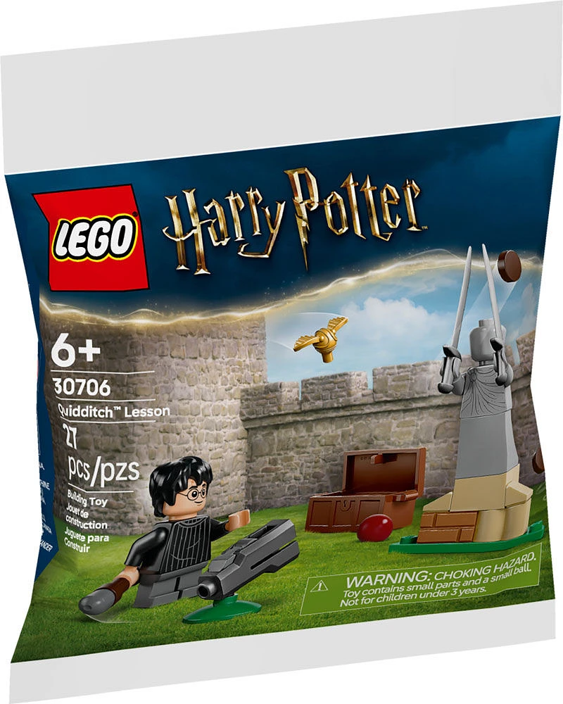 LEGO Harry Potter Quidditch Lesson Building Set - with Harry Potter Minifigure, Snitch, and Quaffle - 30706