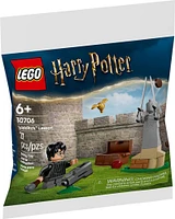 LEGO Harry Potter Quidditch Lesson Building Set - with Harry Potter Minifigure, Snitch, and Quaffle - 30706