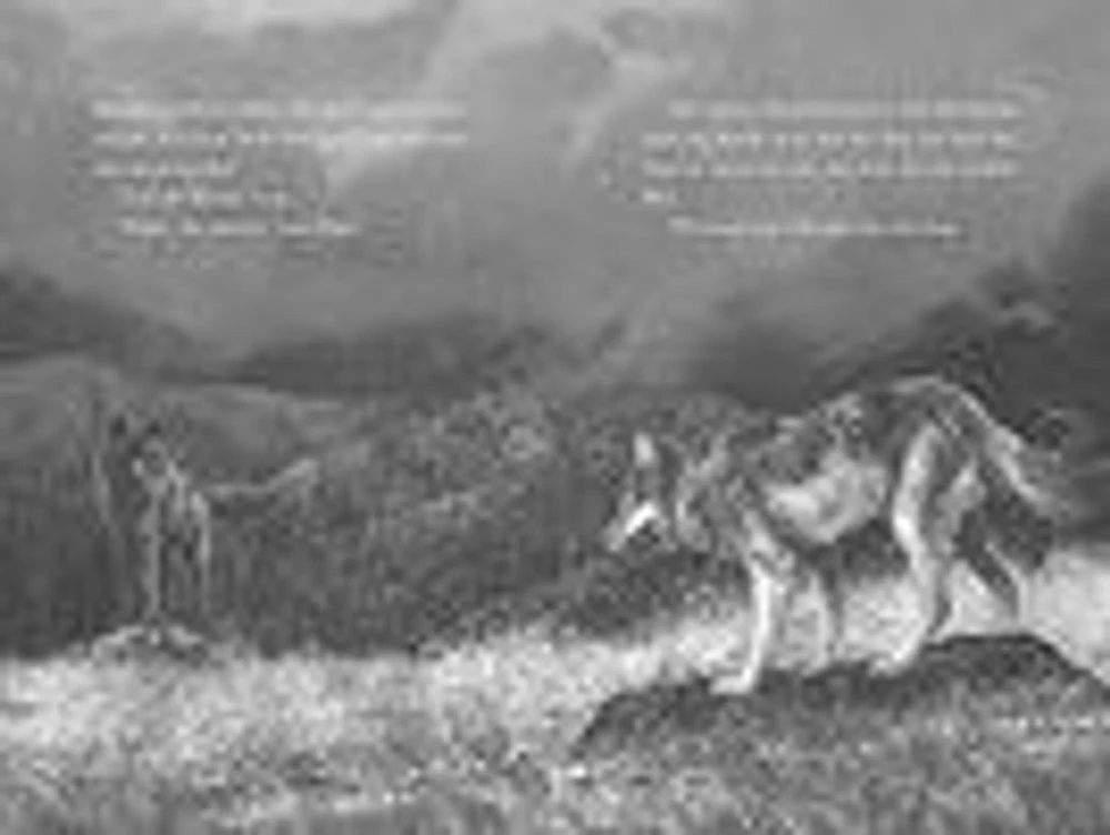 A Wolf Called Wander - Édition anglaise