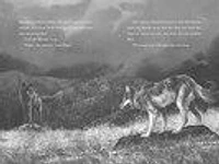 A Wolf Called Wander - Édition anglaise