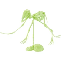 Ideal Novelty - 3D Fossil Puzzle