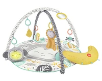 Fisher-Price - Tapis d'activités Snugamonkey Go Bananas - Notre exclusivité