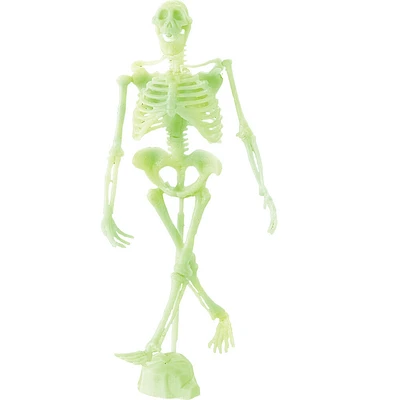 Ideal Novelty - 3D Fossil Puzzle