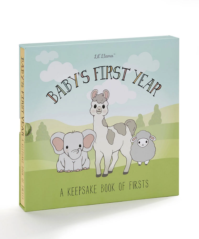 Baby's First Year Keepsake Book