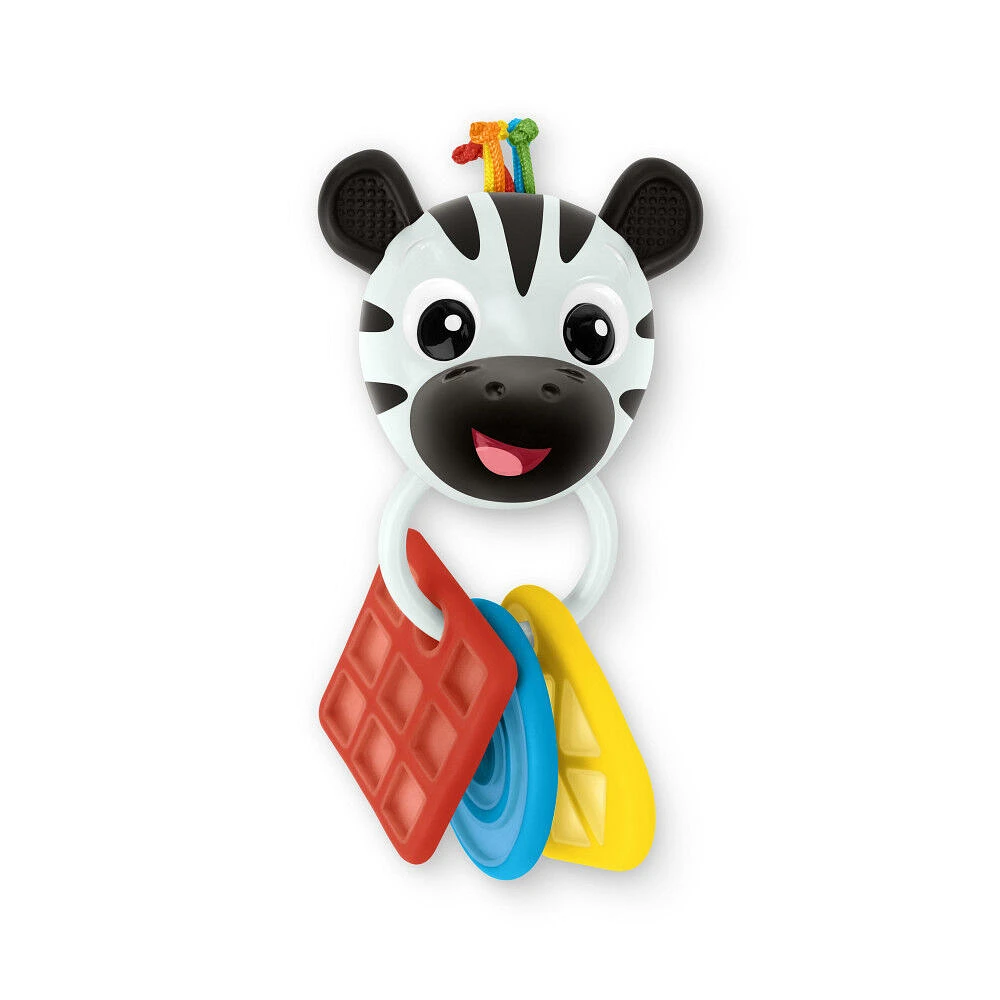 Baby Einstein Shake-a-Shape Zen Teether Toy