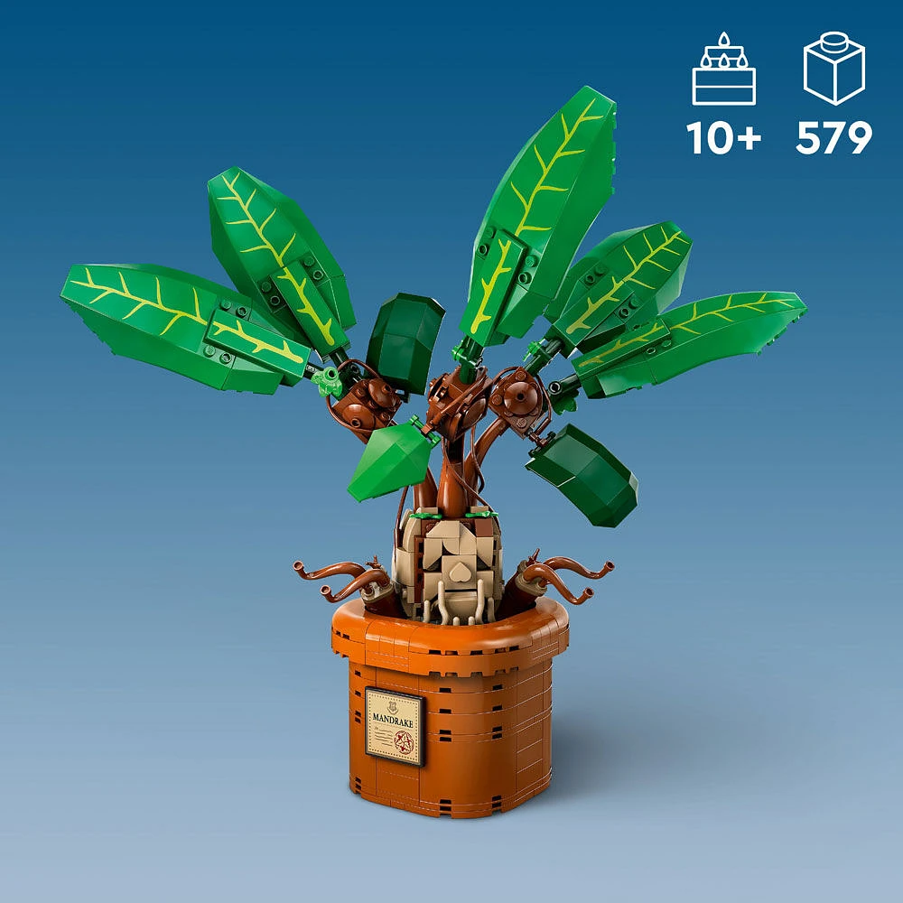 LEGO Harry Potter La mandragore Jouet de plante, cadeau magique 76433