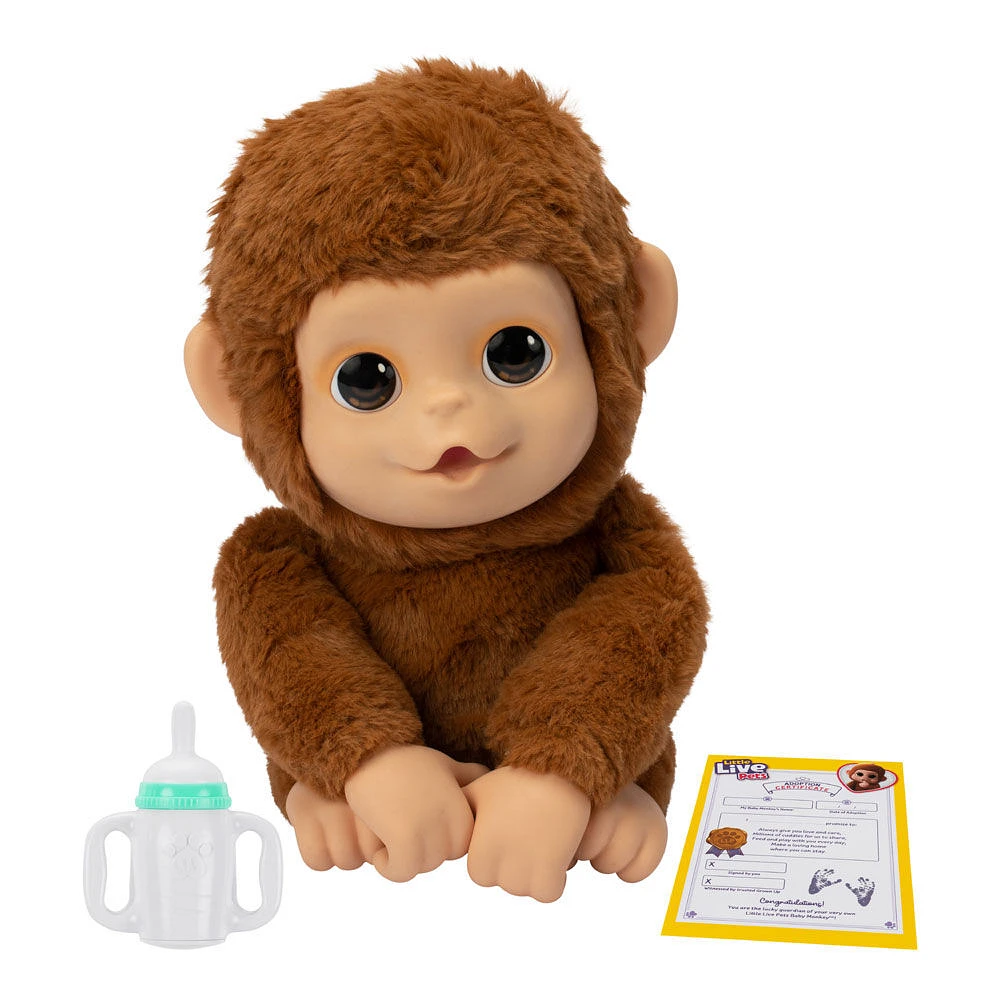 Little Live Pets My Baby Monkey Plush Single Pk