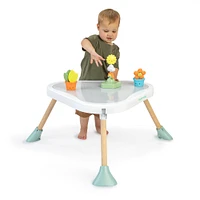 Centre de Jeu par Objectifs d'Ingenuity Tummy-to-Toes 6-en-1