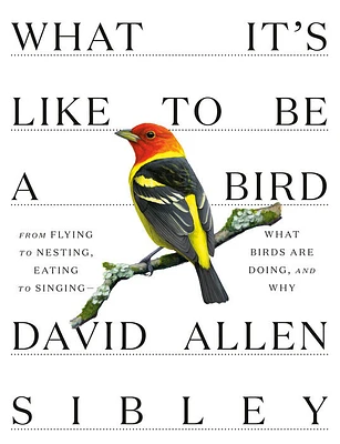 What It's Like to Be a Bird - Édition anglaise