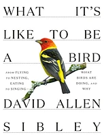 What It's Like to Be a Bird - Édition anglaise