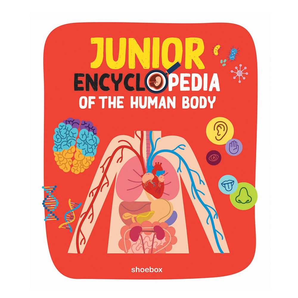 Junior Encyclopedia Of Human Body - Édition anglaise