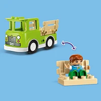 LEGO DUPLO Ma ville Prendre soin des abeilles et des ruches 10419