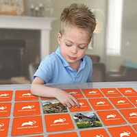 Jeu De Mémoire - Dinosaures