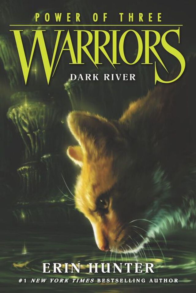 Warriors: The Broken Code #6: A Light in the Mist: Hunter, Erin:  9780062823885: : Books