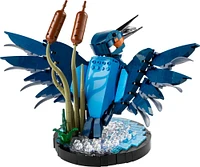 Ensemble de construction LEGO Icons L'oiseau martin-pêcheur 10331