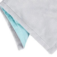 Gerber Childrenswear - 2 piece Blanket + Security Set - Lion