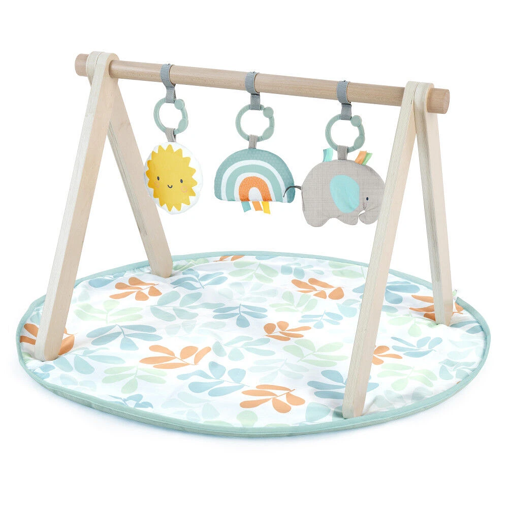 Arc d'activités naturelles d'Ingenuity Sun Valley Wooden Toy Arch et tapis d'éveil Play Mat