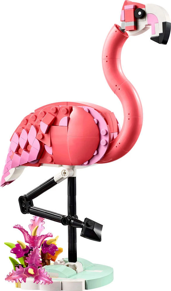 LEGO Creator Les animaux sauvages : Le flamant rose, Jouet d'animal, Se transforme en cacatoès ou en axolotl 31170