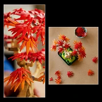 LEGO Botanicals Japanese Red Maple Bonsai Tree - Home Decor DIY Kit for Adults 18+ - 10348