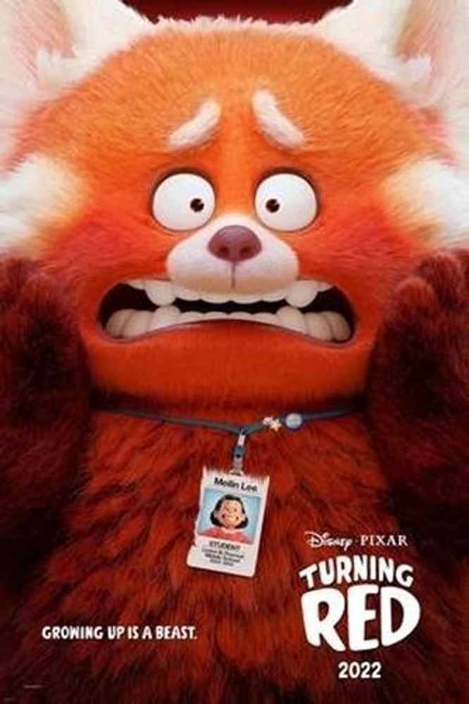 Turning Red (DVD)