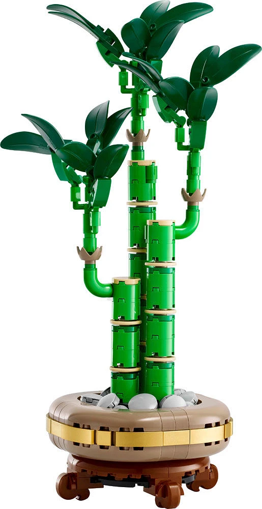 LEGO Botanique Le bambou de la chance, Décoration de plante, Cadeau pour les femmes, les hommes et les amoureux de la nature 10344