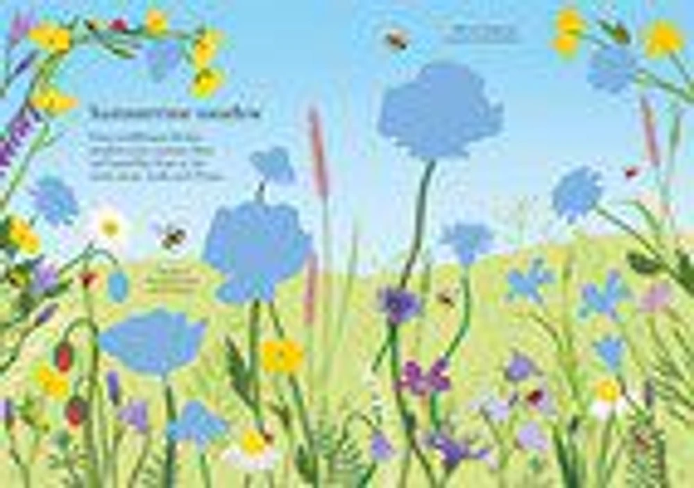 Little First Stickers: Wildflowers - English Edition
