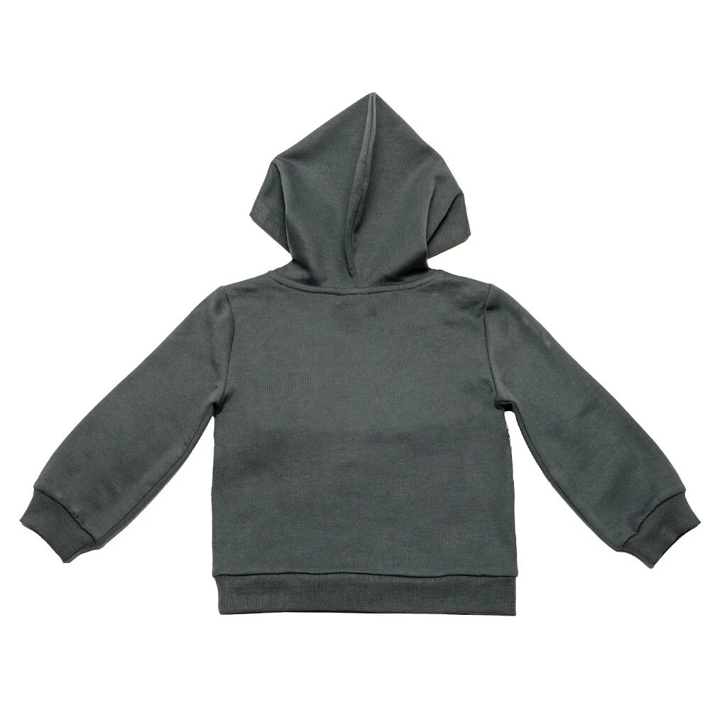 Jurassic Park - Hoodie - Charcoal - Size 2T - Toys R Us Exclusive