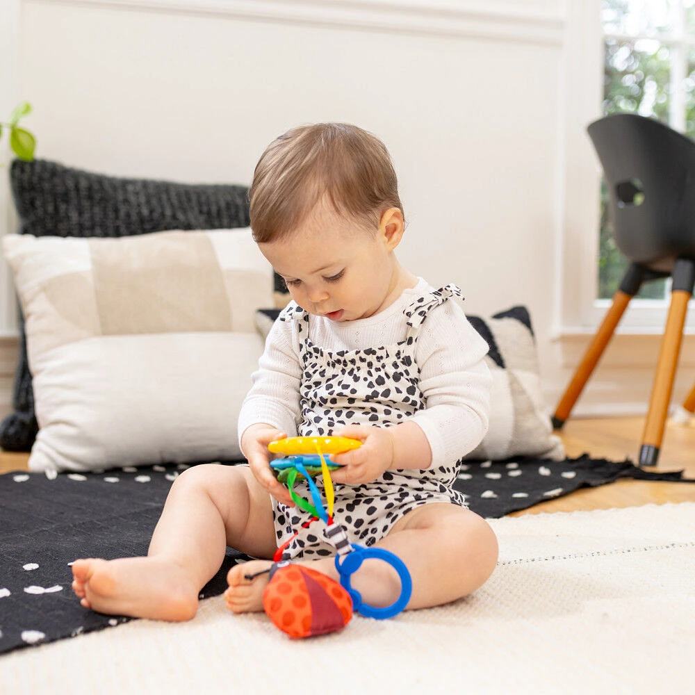 Baby Einstein Touch of Nature Sensory Toy