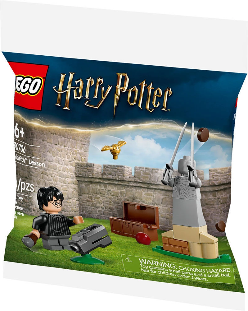 LEGO Harry Potter Quidditch Lesson Building Set - with Harry Potter Minifigure, Snitch, and Quaffle - 30706