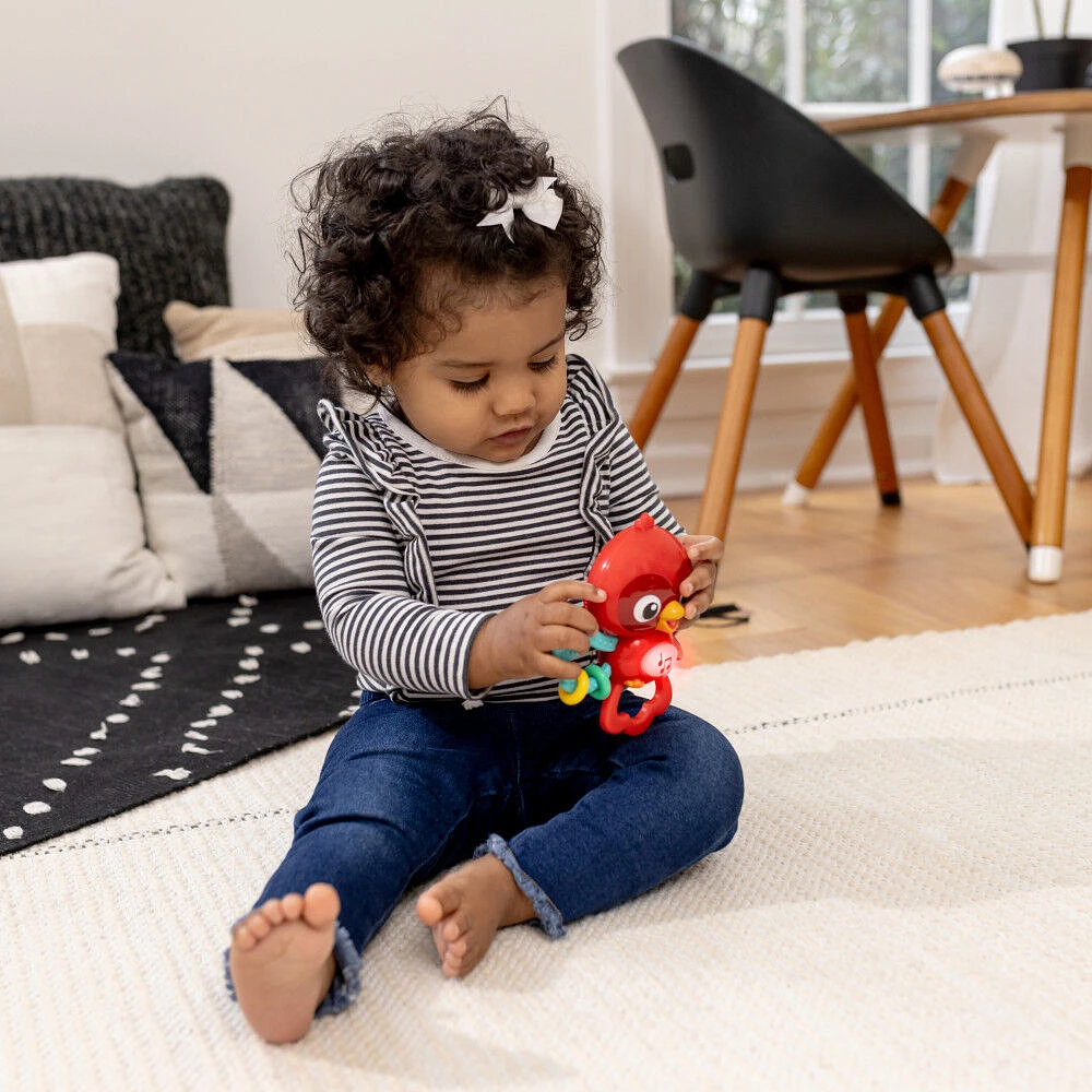 Baby Einstein Roxy's Bright Flight Musical Toy